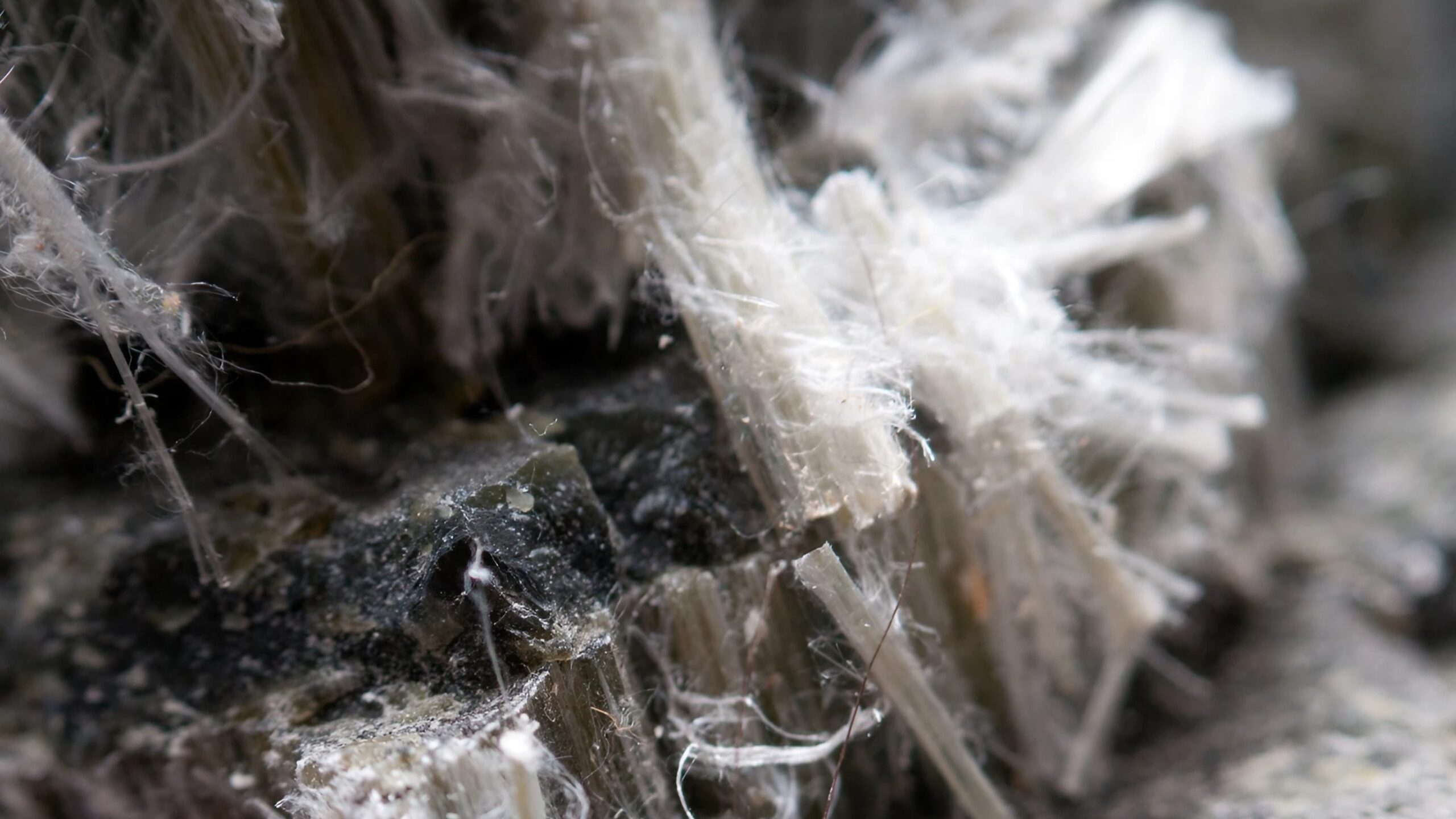 A close up of asbestos fibres